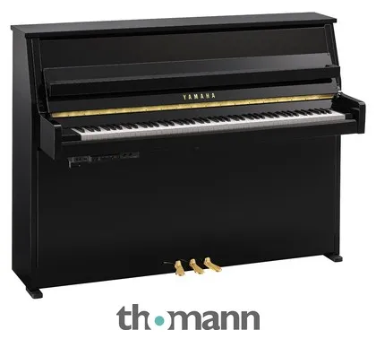 Yamaha B10 TC3 PE