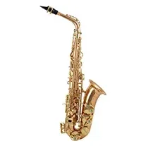 Saxofone Alto Yanagisawa AWO2 Lacado