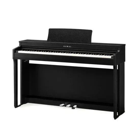 Kawai CN 201 Black