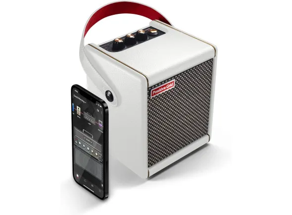 Positive Grid Spark Mini PW