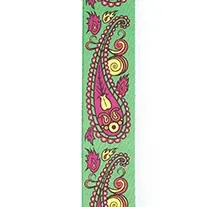 Correia Guitarra D'Addario 50JS13 Paisley Green