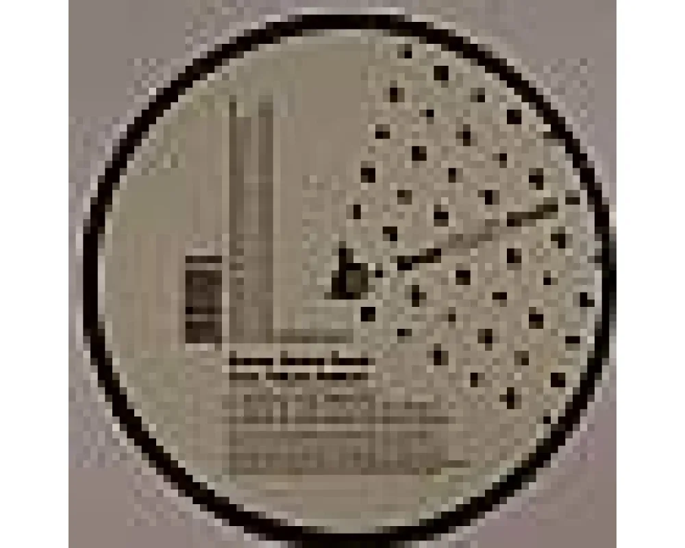Kotey & Jankel - Sooner Or Later (Chicken Lips Rmx)