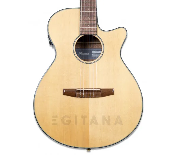 Ibanez AEG50N-NT Nylon