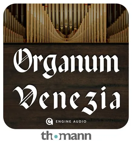 Engine Audio Organum Venezia
