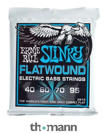 Ernie Ball 2815