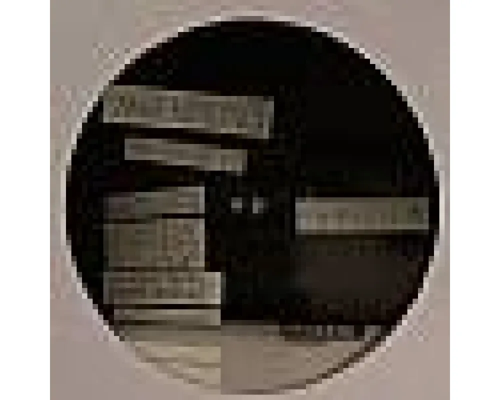 Langenberg - Mrs. Future