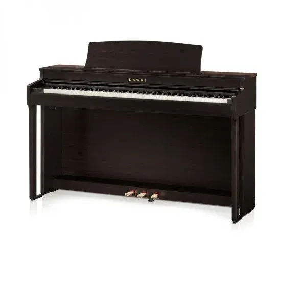 Kawai CN 301R