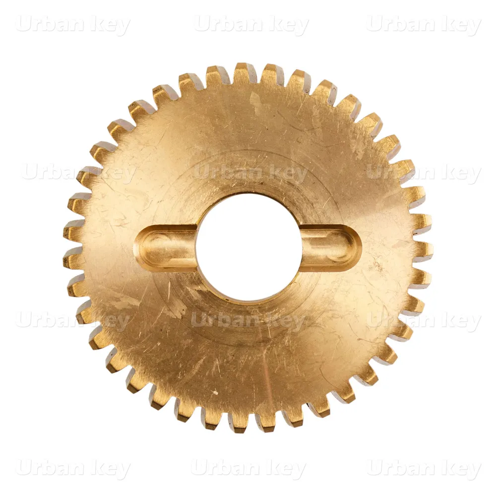 Roda Dentada De Substituição Em Bronze - PW_R_DENTADA_BUK
