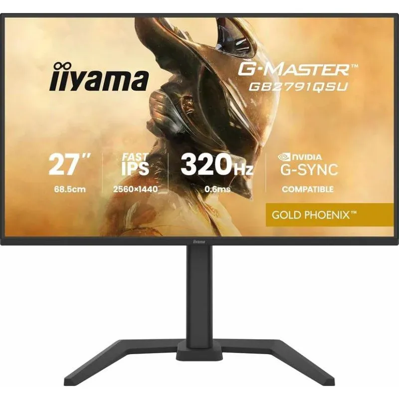 Monitor iiyama GB2791QSU-B1 27" QHD 320Hz IPS G-SYNC HDR10 USB-C 0,6ms