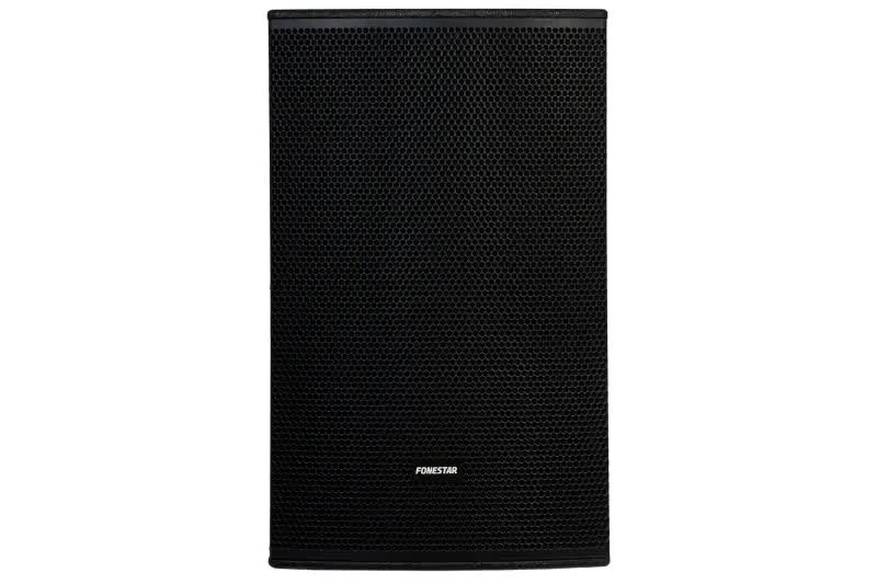 Coluna De Alta Potência 500W - FPRO-25015