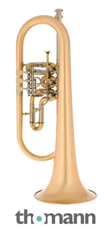 Schagerl Hans Gansch Flugelhorn scratch