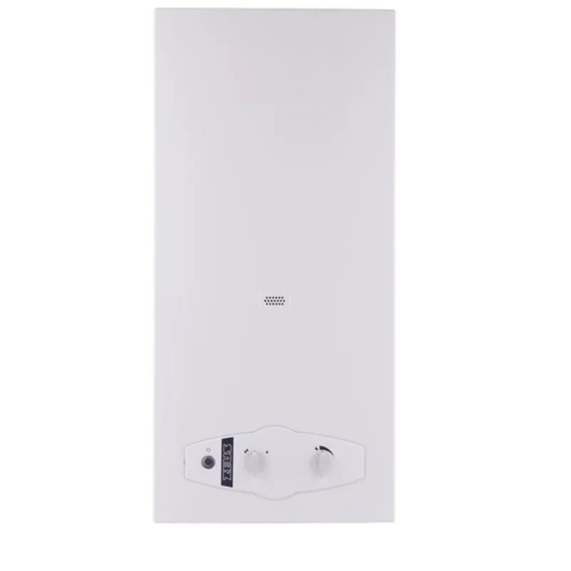 Esquentador Zeus Wrn-10-4-kbr-23 Cx. 893