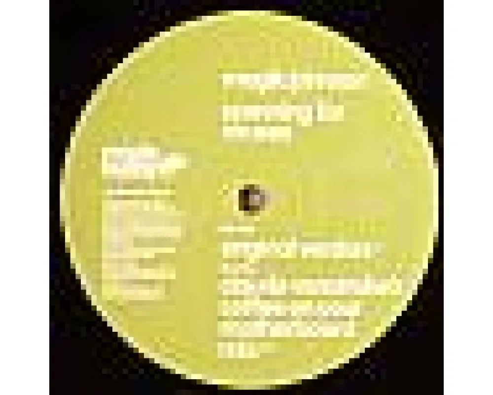 Magik Johnson - Scanning For Viruses (C. Vonstroke Rmx)