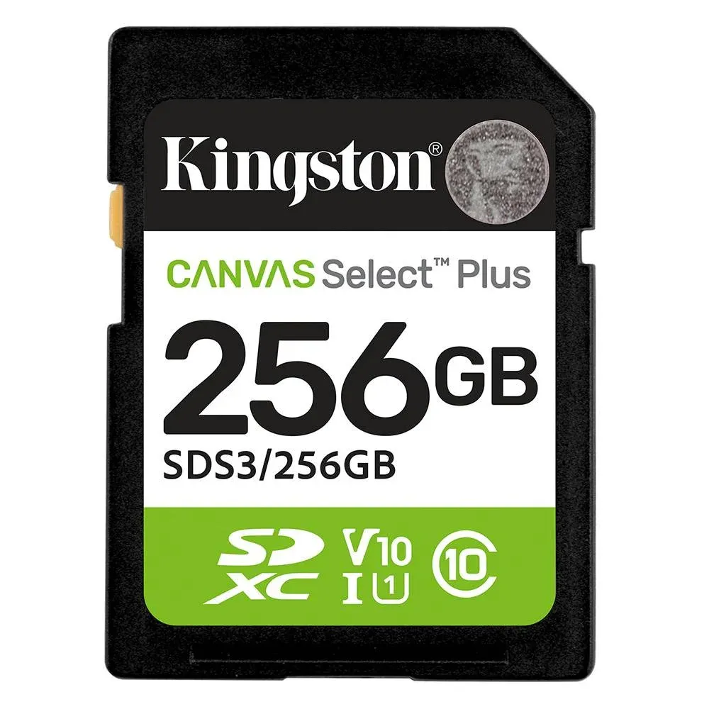 Cartão de Memória Kingston CANVAS Select Plus 256GB SD XC C10 Preto