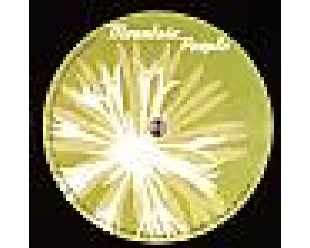 Serafin & Roman Bruderer - mountain 004