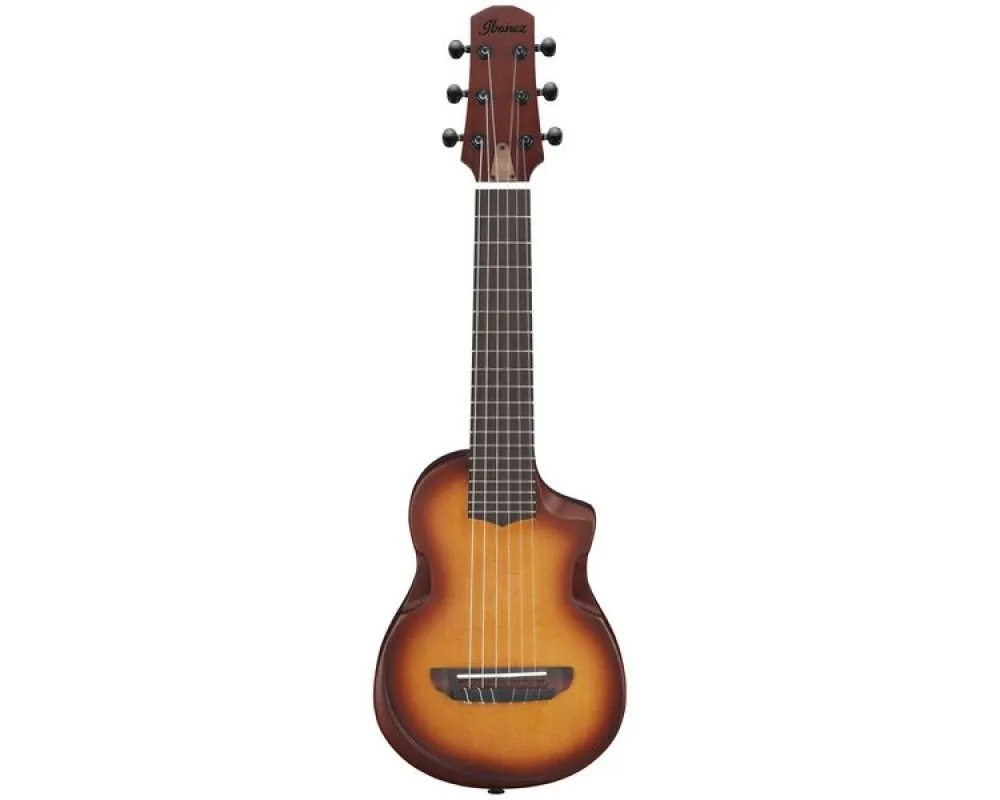 Ibanez AUP10N-OLB Light Brown Sunburst