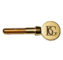 Parafuso BG para abraçadeira ASGP
