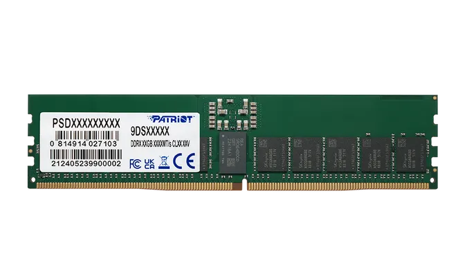 Patriot 48GB (1X48GB) DDR5 RDIMM 5600MHz CL46