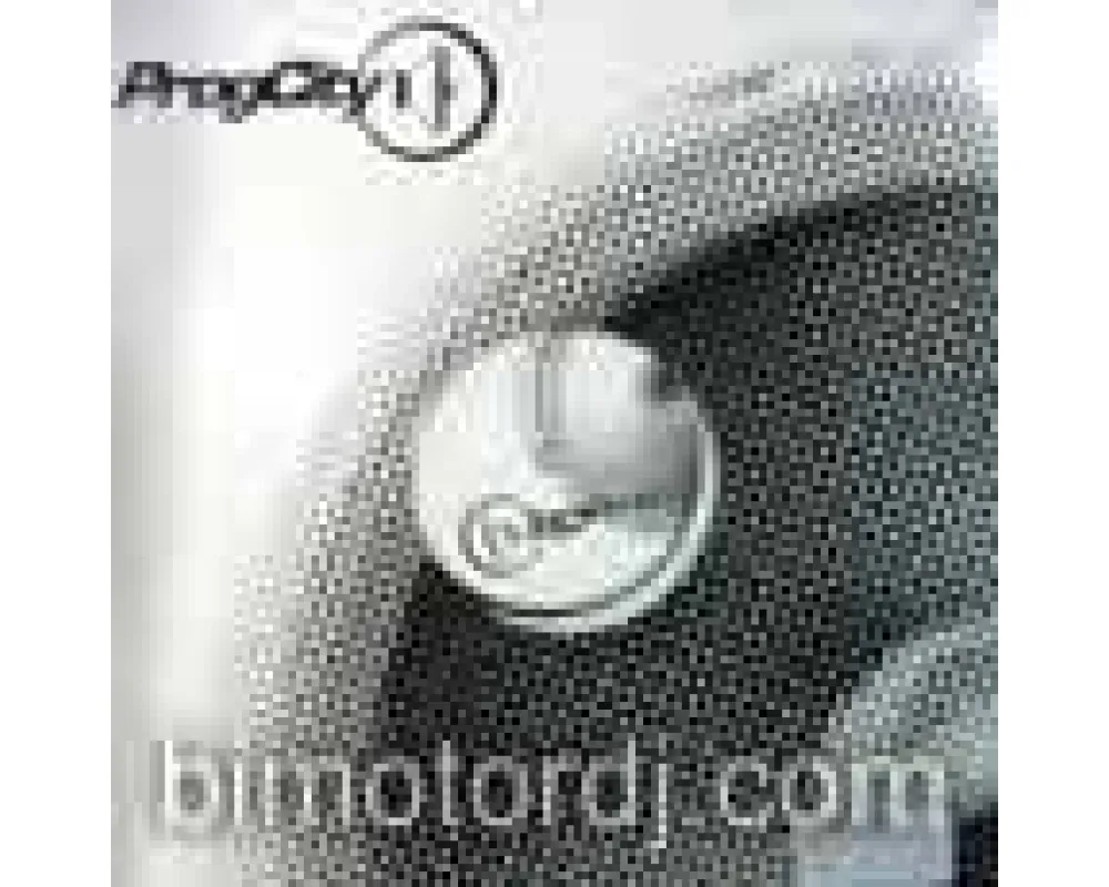 bionik phunk - in my head remixes