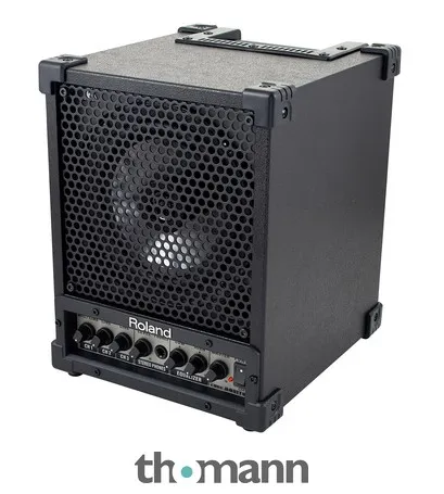 Roland CM-30 Cube Monitor