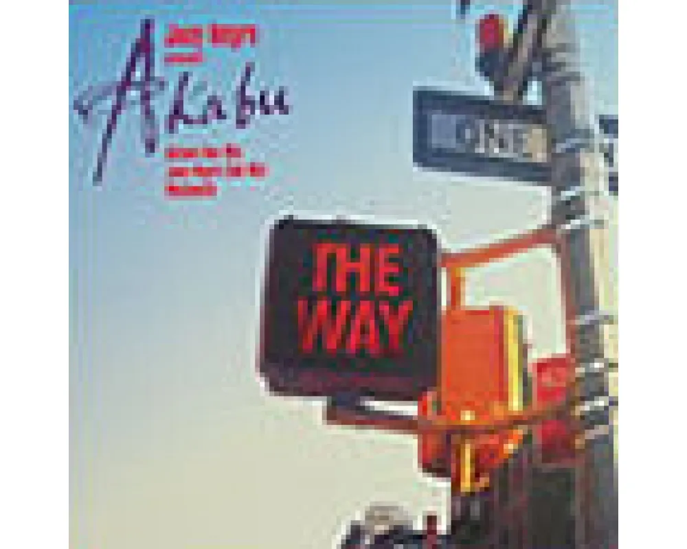 joey negro pres akabu - the way (octave one mix)