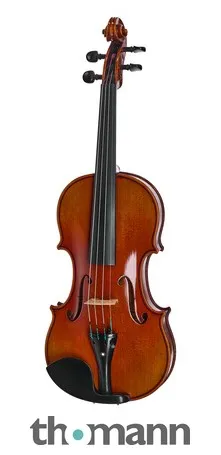 Ernst Heinrich Roth 64/IX-R Master Violin