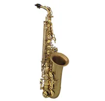 Saxofone Alto Selmer SA80 II SE-A2M BGG GO Ouro Escovado