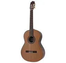 Paco Castillo 203 III Fishman 4/4