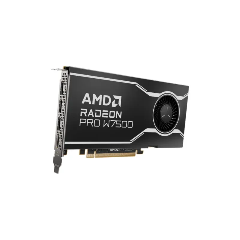 Placa Gráfica AMD Radeon Pro W7500 8GB GDDR6 PCIe 4.0 x8 4x DP