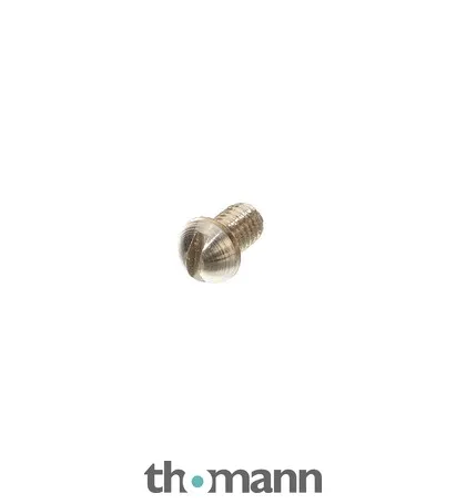 Thomann Strike Iron Screw 4,5x7xM3 NS