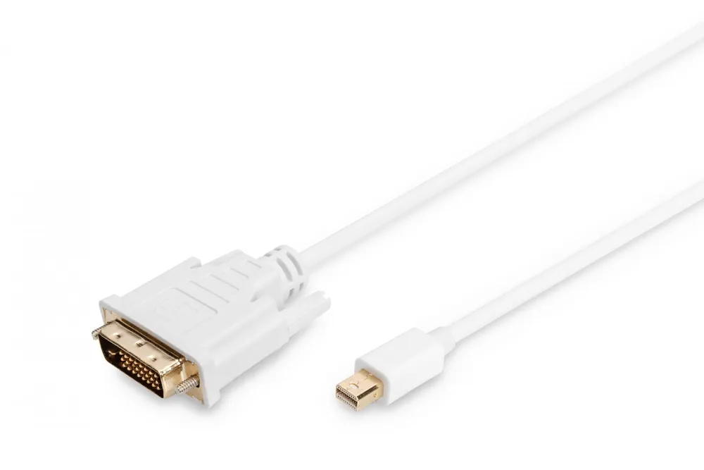 DisplayPort Adapter Cable AK-340305-020-W