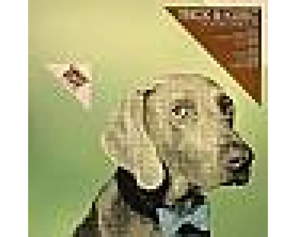 trick & kubic - doggie dance ep