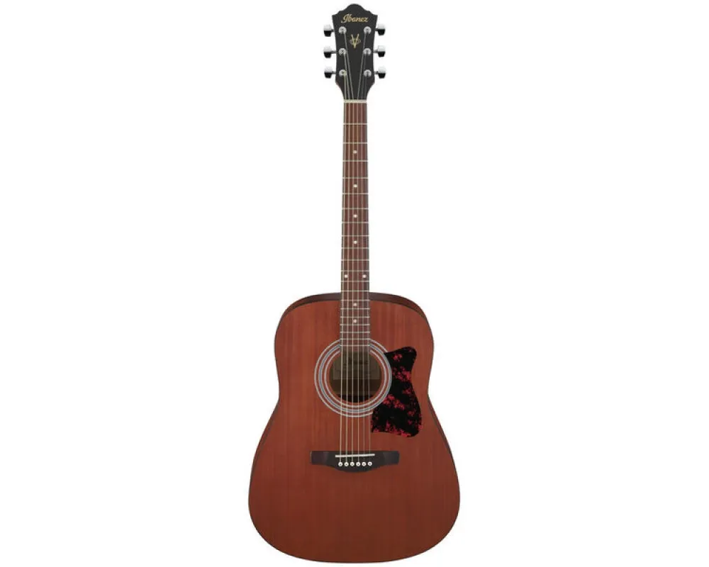 Ibanez V54NJP-OPN Jam Pack