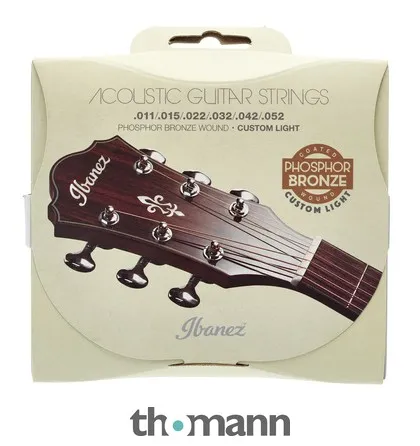 Ibanez IACSP62C Acoustic Steel