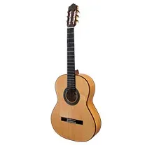 Paco Castillo 214F Flamenco