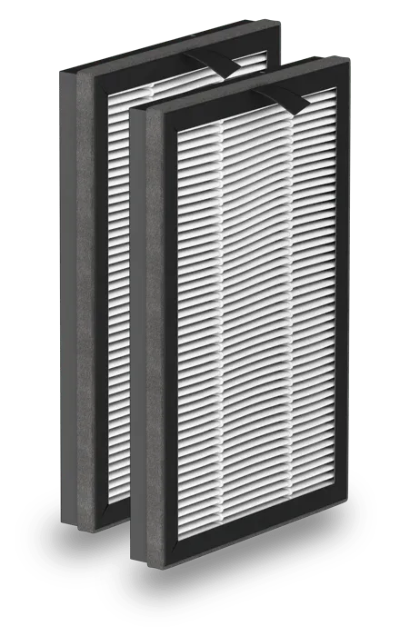 Rowenta Filtro de partículas XD6520F0