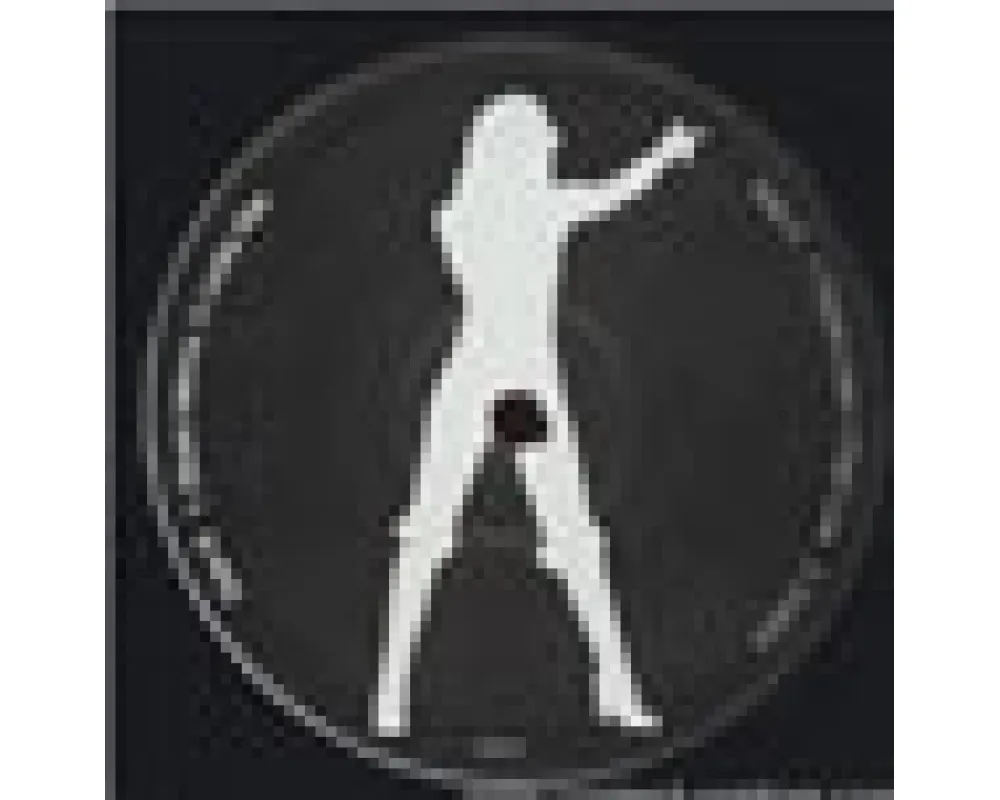 madonna - confessions tour live - sampler