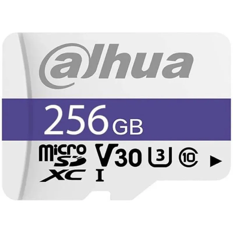 Dahua Technology P100 Cartão de Memória MicroSDXC 256GB UHS-I Classe 10