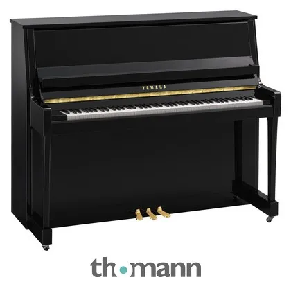 Yamaha B30 PE