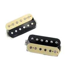 Seymour Duncan APH2S Set Zebra