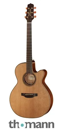 Takamine P3NC Pro Series w/Softcase