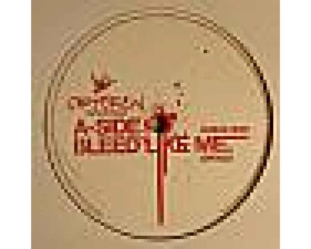 Break 3000 - Bleed Like Me (Daso Rmx)