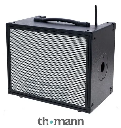 Elite Acoustics D6-58 Acoustic Amplifier