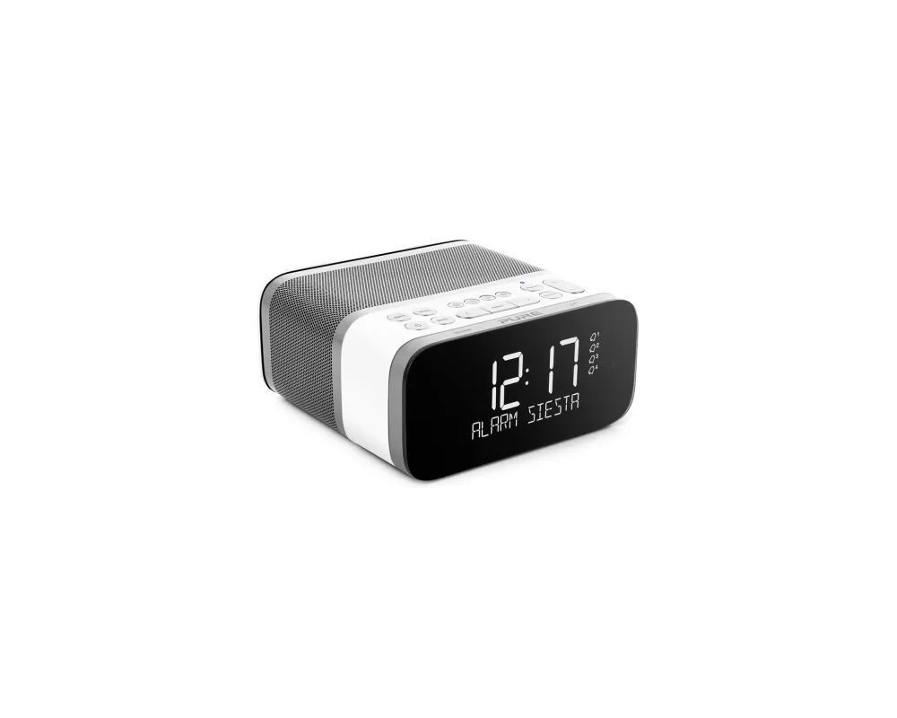 Pure Siesta S6 Polar