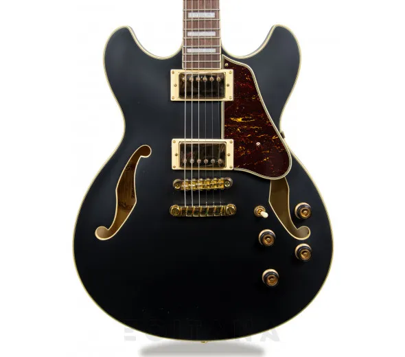 Ibanez AS73GBKF