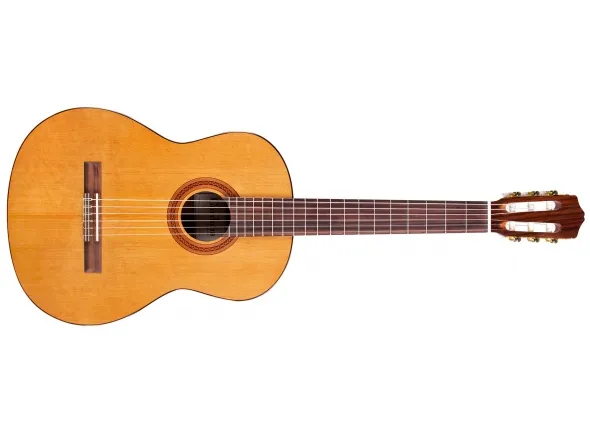 Cordoba C5