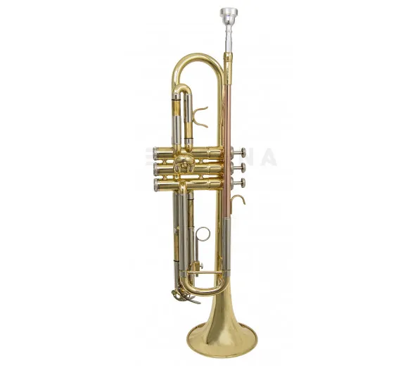 Wisemann DTR-200 Trompete Afinação Bb