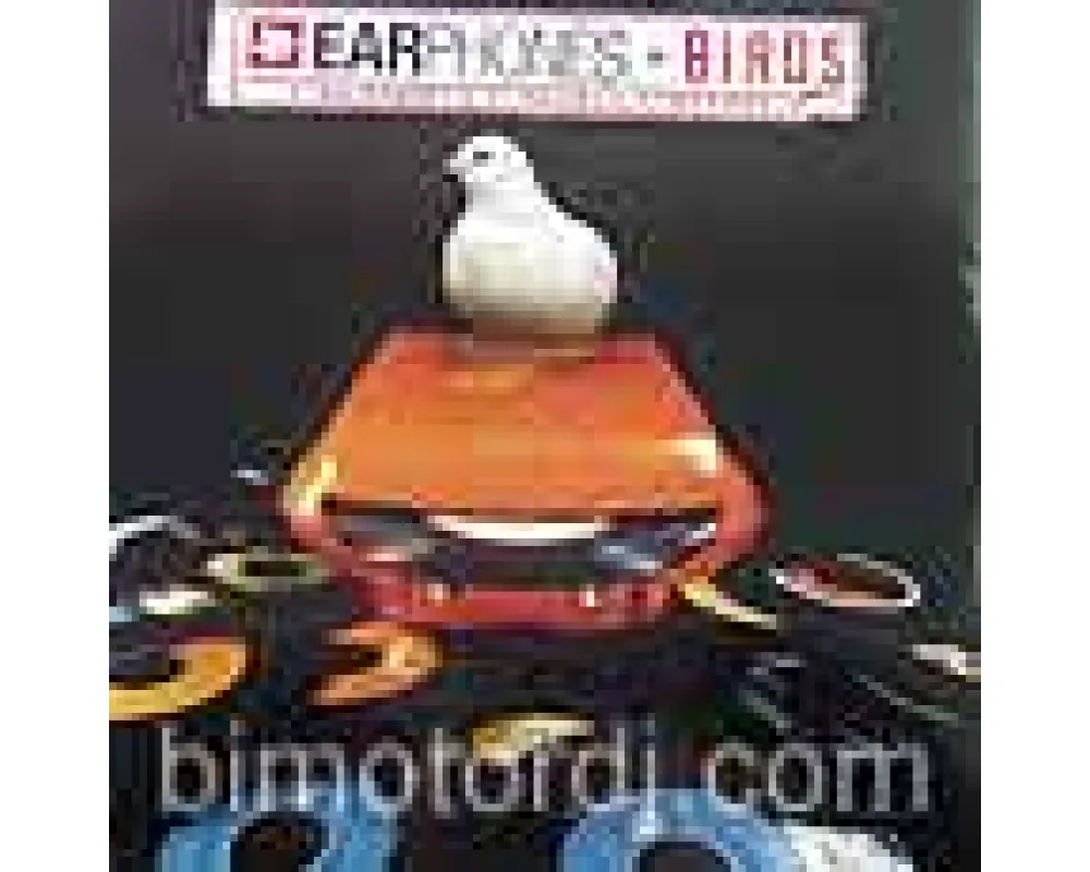 earphone - birds