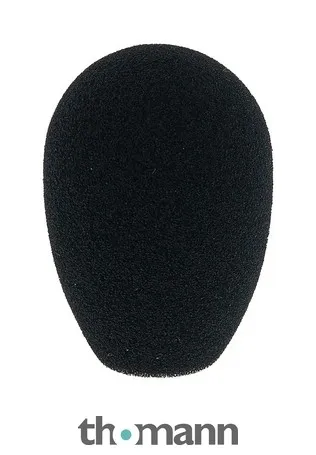 AKG W 32